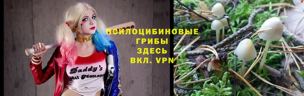 бошки Осинники