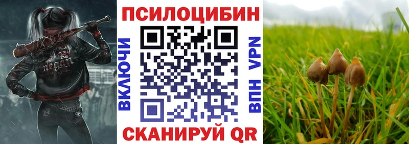 Купить закладки  Орск  Псилоцибиновые грибы Magic Shrooms 